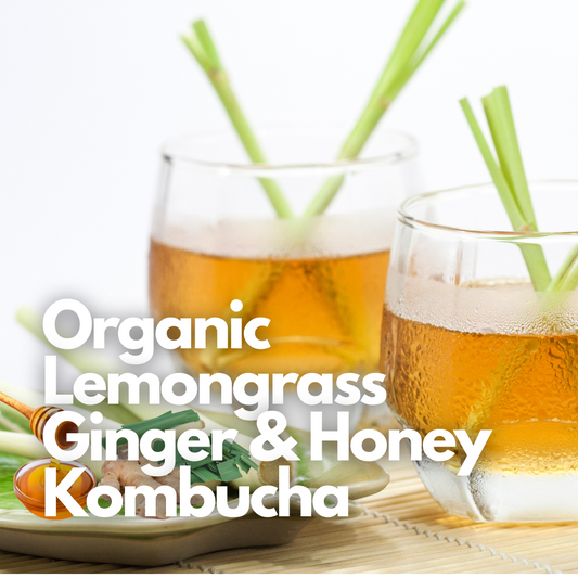 Kombucha - Lemongrass, Ginger & Honey - 350 ml